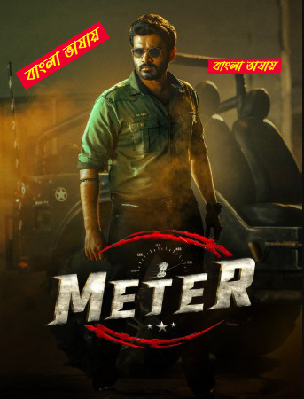 Meter 2025